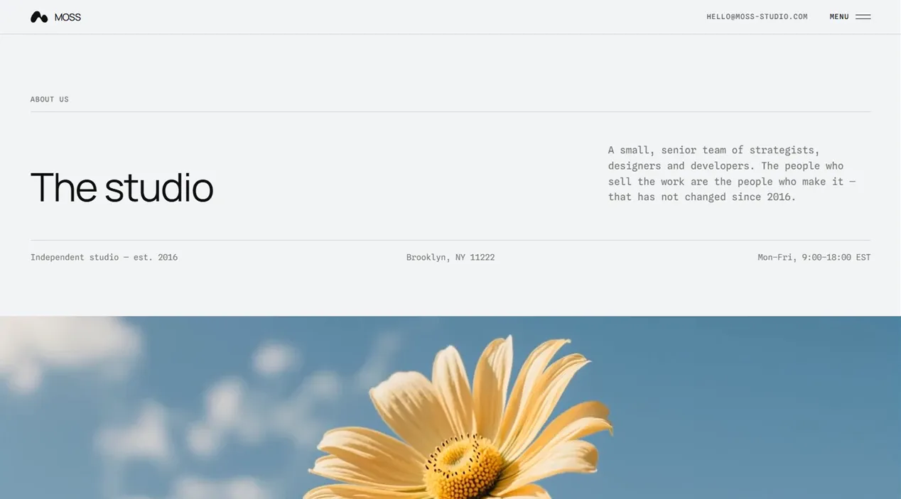 Moss Studio template — Studio view